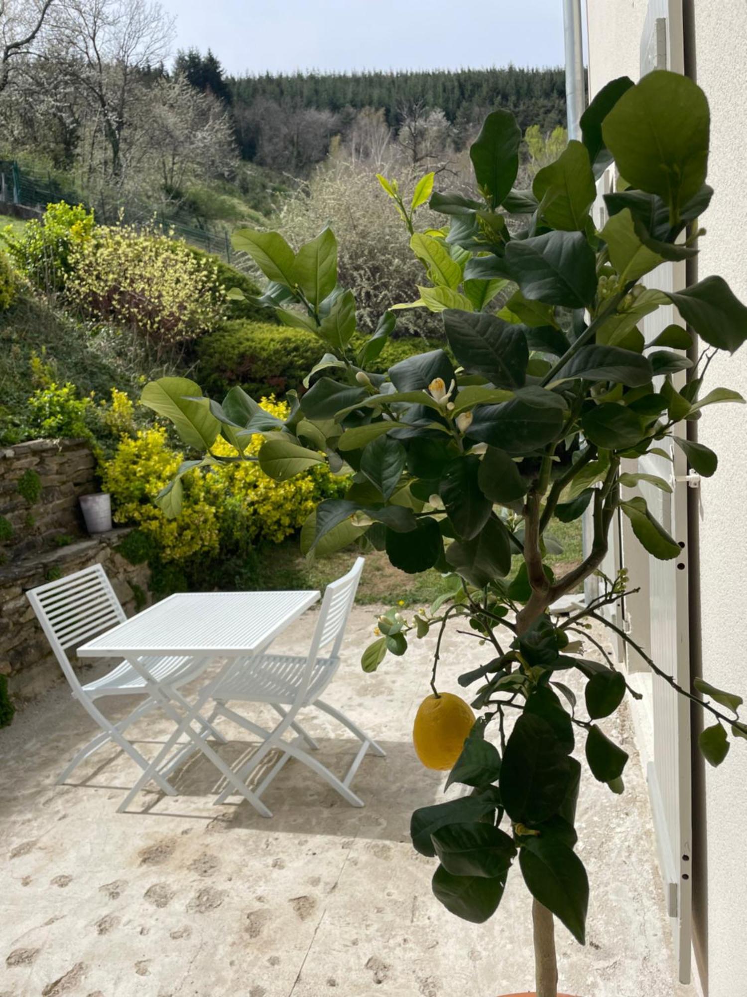 Les Terrasses Du Pilat Apartment La Valla-en-Gier Exterior photo